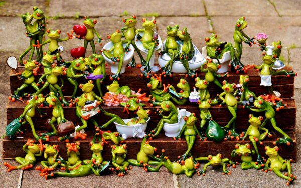 7_2021_10_10_OF_BLOG_7_Foto_Blog_Ist_Deine_Sammlung_Deine_Leidenschaft_oder_Dein_Abgrund_Froesche
